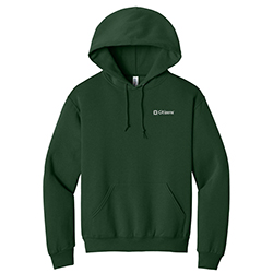 ADULT PULLOVER HOODED SWEATSHIRT